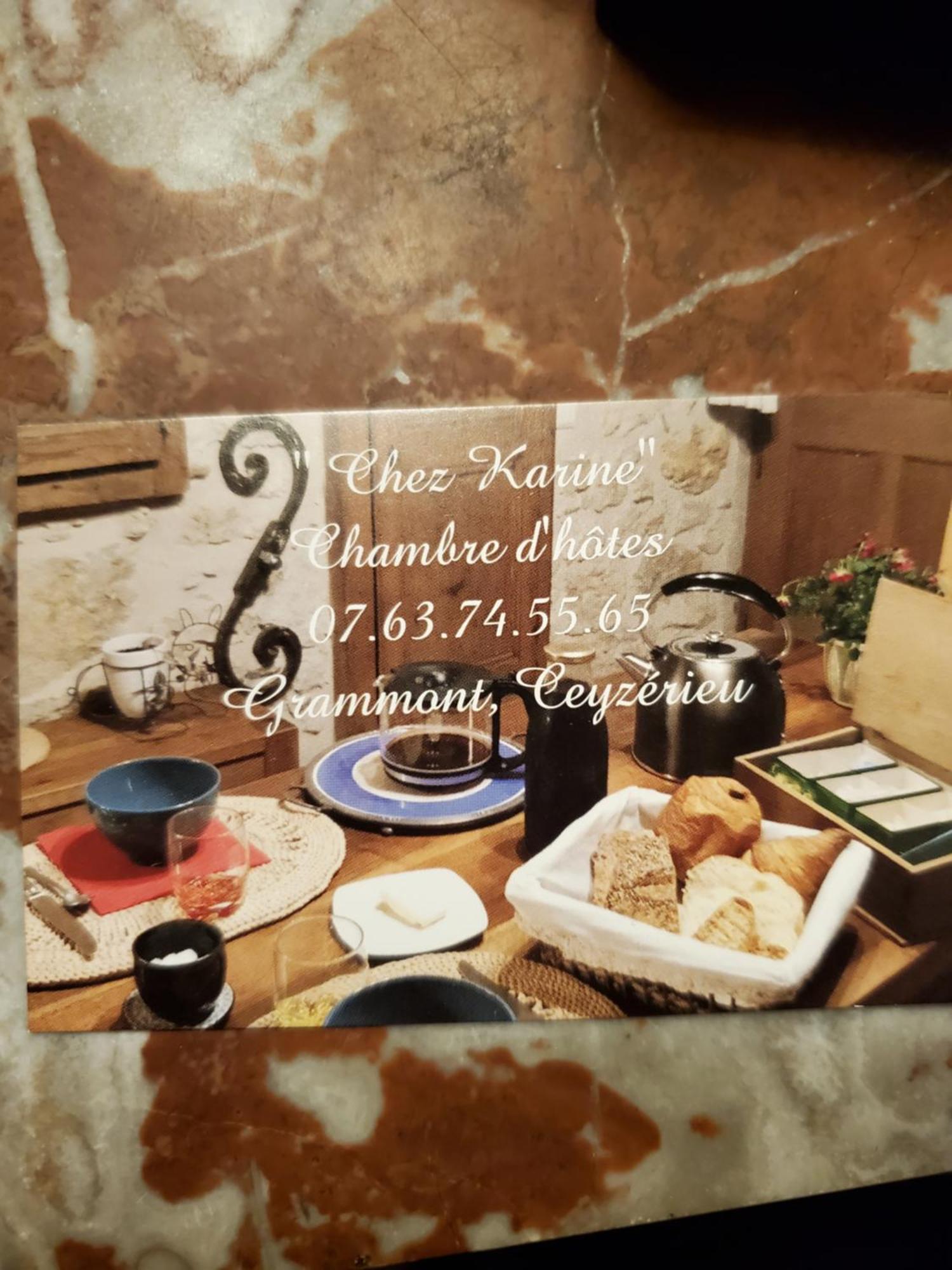 Chez Karine Bed & Breakfast Ceyzerieu Dış mekan fotoğraf